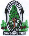 drivethrutree.jpg (44751 bytes)